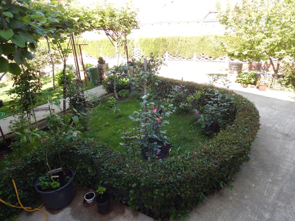Apartment Saric Sukošan Kültér fotó